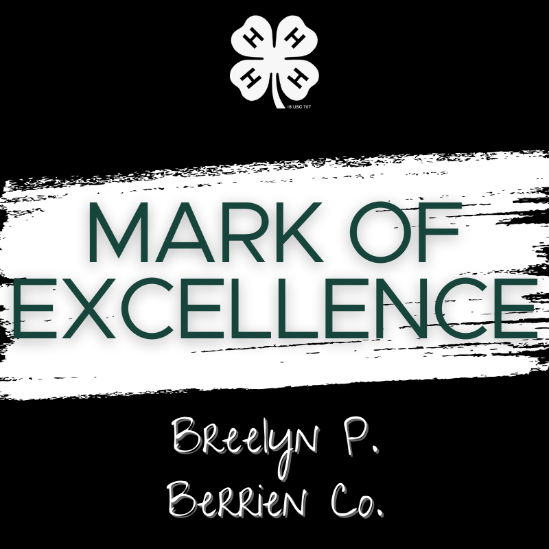 Breelyn P., Berrien County